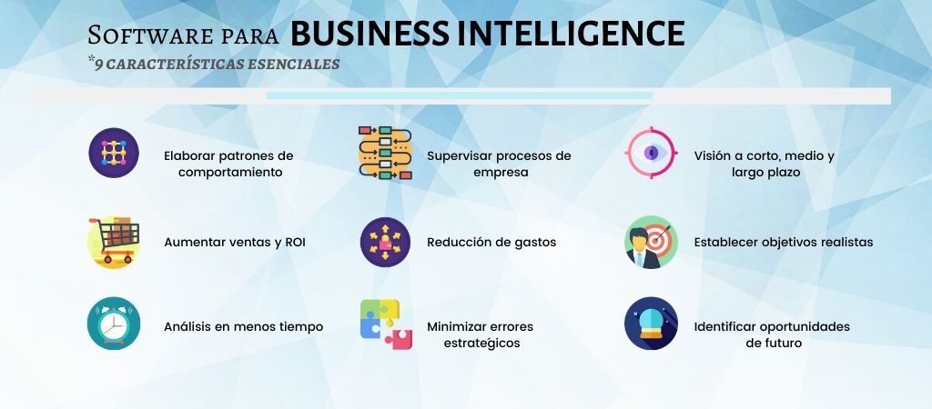 software business intelligence