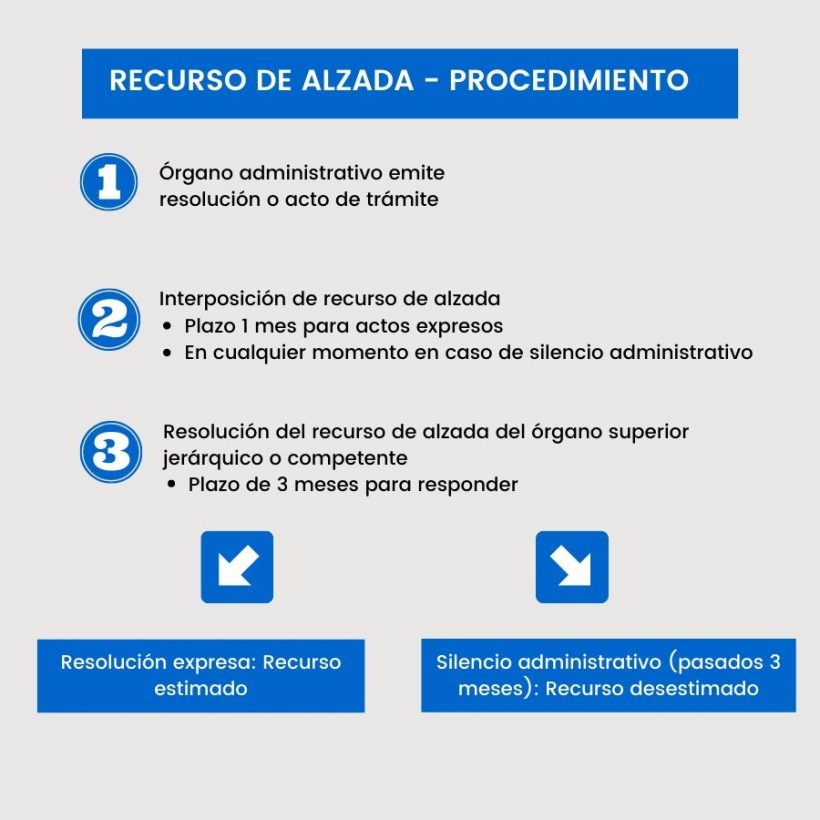 Modelos De Recurso De Alzada Asesorías 1997