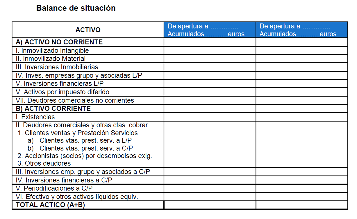 Captura modelo balance de situación